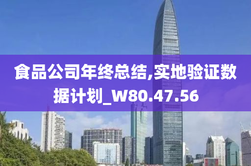 食品公司年终总结,实地验证数据计划_W80.47.56