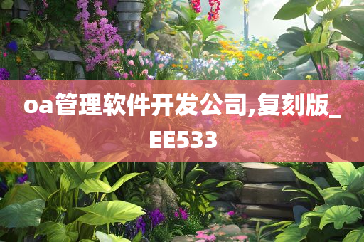 oa管理软件开发公司,复刻版_EE533