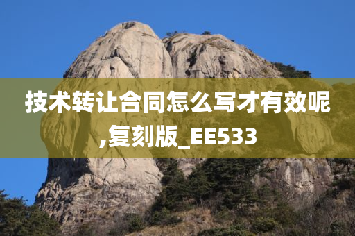 技术转让合同怎么写才有效呢,复刻版_EE533