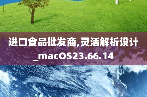 进口食品批发商,灵活解析设计_macOS23.66.14