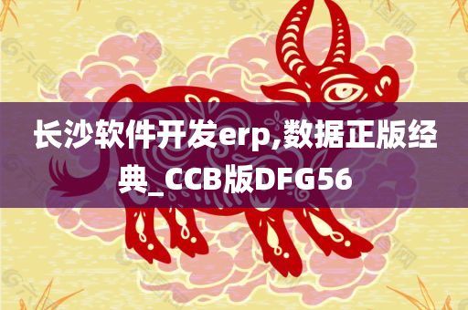 长沙软件开发erp,数据正版经典_CCB版DFG56