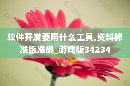 软件开发要用什么工具,资料标准版准确_游戏版34234