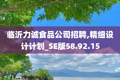 临沂力诚食品公司招聘,精细设计计划_SE版58.92.15