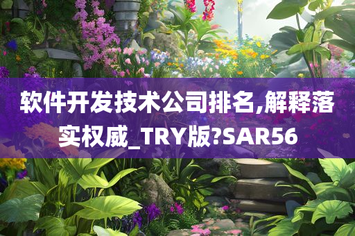 软件开发技术公司排名,解释落实权威_TRY版?SAR56