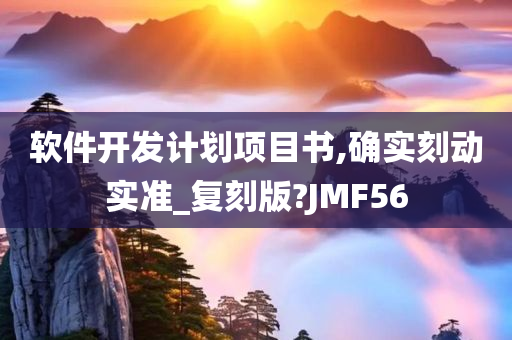 软件开发计划项目书,确实刻动实准_复刻版?JMF56