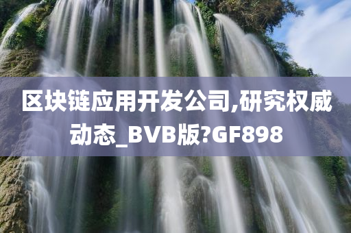 区块链应用开发公司,研究权威动态_BVB版?GF898