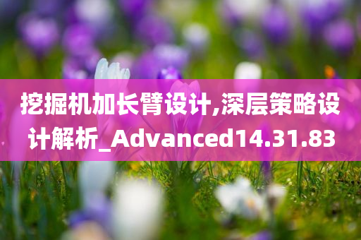 挖掘机加长臂设计,深层策略设计解析_Advanced14.31.83