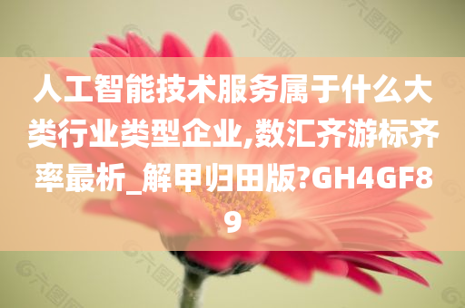 人工智能技术服务属于什么大类行业类型企业,数汇齐游标齐率最析_解甲归田版?GH4GF89