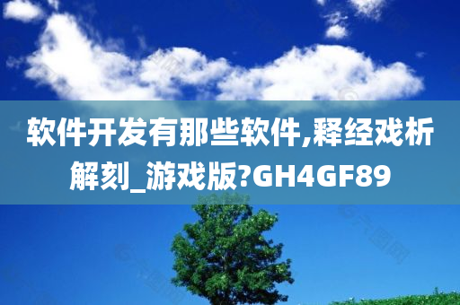 软件开发有那些软件,释经戏析解刻_游戏版?GH4GF89