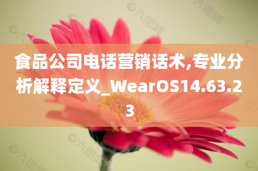 食品公司电话营销话术,专业分析解释定义_WearOS14.63.23