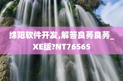 绵阳软件开发,解答良莠良莠_XE版?NT76565