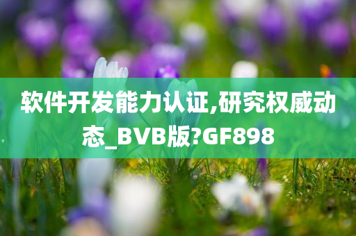 软件开发能力认证,研究权威动态_BVB版?GF898