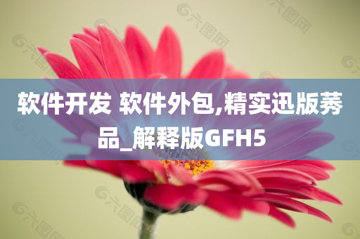 软件开发 软件外包,精实迅版莠品_解释版GFH5