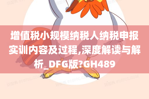 增值税小规模纳税人纳税申报实训内容及过程,深度解读与解析_DFG版?GH489