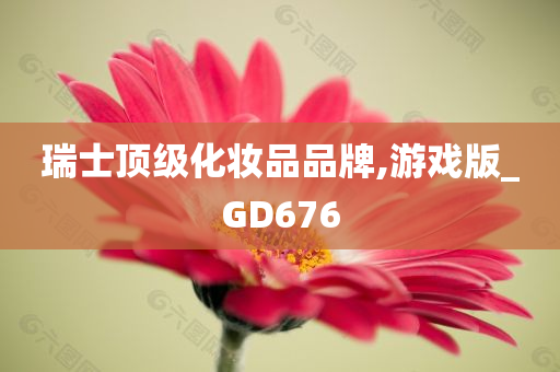 瑞士顶级化妆品品牌,游戏版_GD676