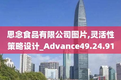 思念食品有限公司图片,灵活性策略设计_Advance49.24.91