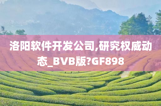 洛阳软件开发公司,研究权威动态_BVB版?GF898