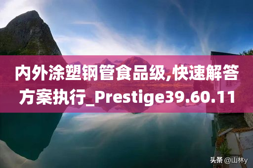 内外涂塑钢管食品级,快速解答方案执行_Prestige39.60.11