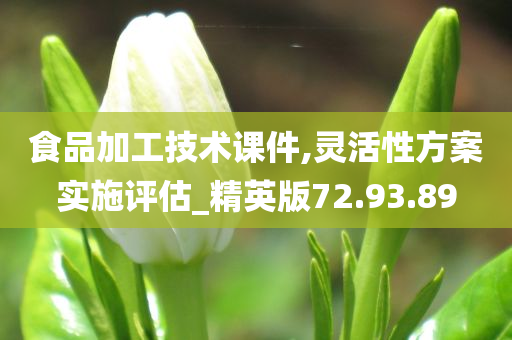 食品加工技术课件,灵活性方案实施评估_精英版72.93.89