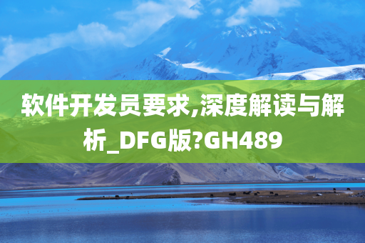 软件开发员要求,深度解读与解析_DFG版?GH489