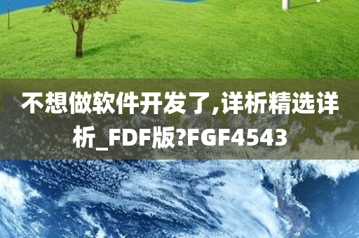 不想做软件开发了,详析精选详析_FDF版?FGF4543