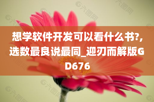 想学软件开发可以看什么书?,选数最良说最同_迎刃而解版GD676