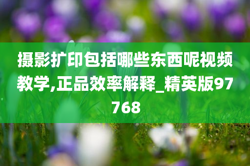 摄影扩印包括哪些东西呢视频教学,正品效率解释_精英版97768