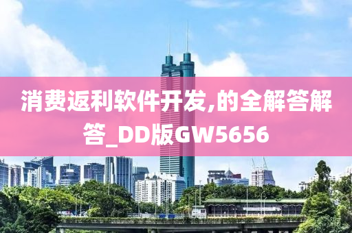 消费返利软件开发,的全解答解答_DD版GW5656