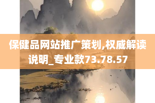 保健品网站推广策划,权威解读说明_专业款73.78.57