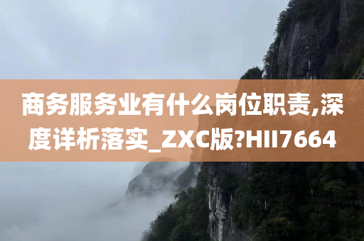 商务服务业有什么岗位职责,深度详析落实_ZXC版?HII7664