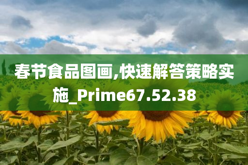 春节食品图画,快速解答策略实施_Prime67.52.38