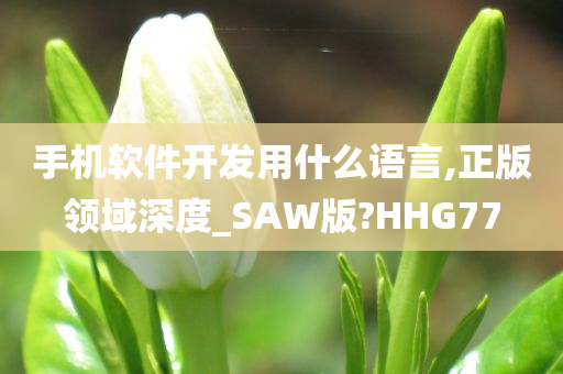 手机软件开发用什么语言,正版领域深度_SAW版?HHG77