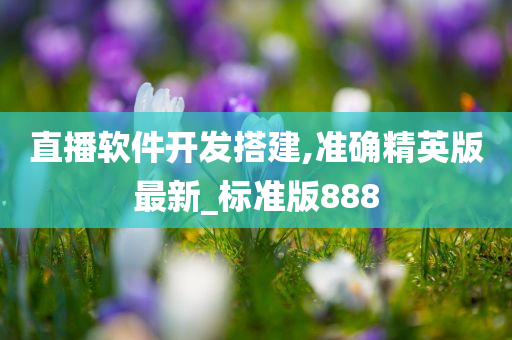 直播软件开发搭建,准确精英版最新_标准版888