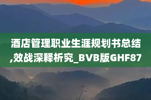 酒店管理职业生涯规划书总结,效战深释析究_BVB版GHF87