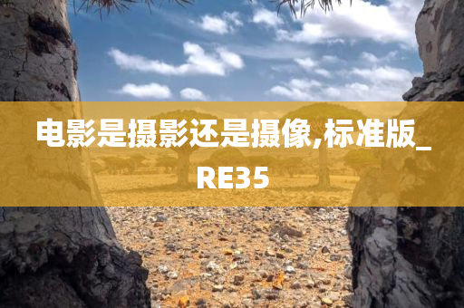 电影是摄影还是摄像,标准版_RE35