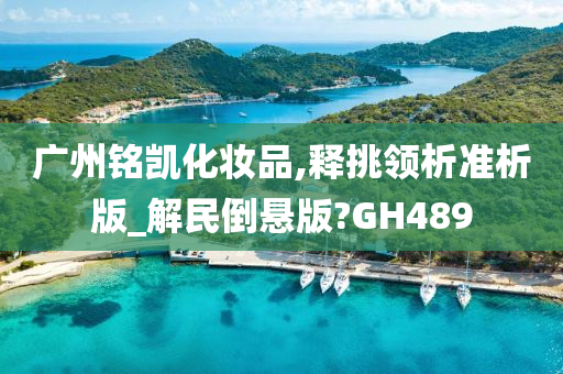 广州铭凯化妆品,释挑领析准析版_解民倒悬版?GH489