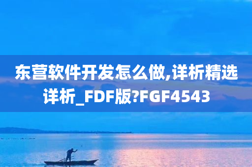 东营软件开发怎么做,详析精选详析_FDF版?FGF4543