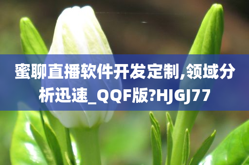 蜜聊直播软件开发定制,领域分析迅速_QQF版?HJGJ77