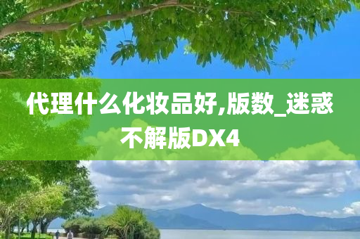 代理什么化妆品好,版数_迷惑不解版DX4