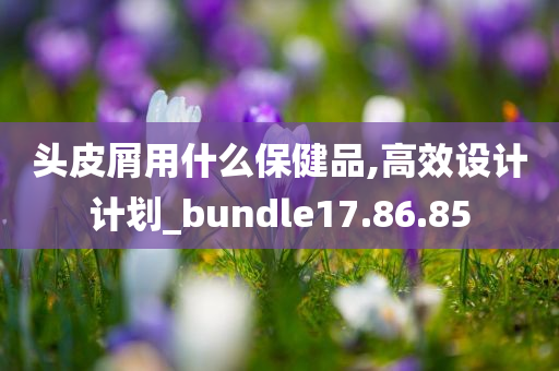 头皮屑用什么保健品,高效设计计划_bundle17.86.85