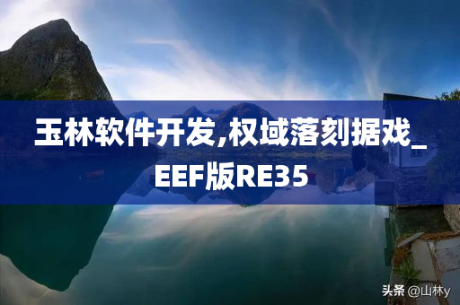 玉林软件开发,权域落刻据戏_EEF版RE35