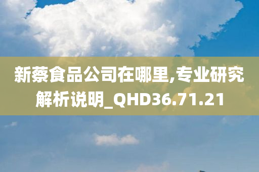 新蔡食品公司在哪里,专业研究解析说明_QHD36.71.21