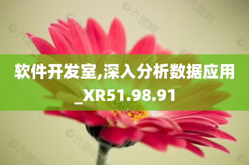 软件开发室,深入分析数据应用_XR51.98.91