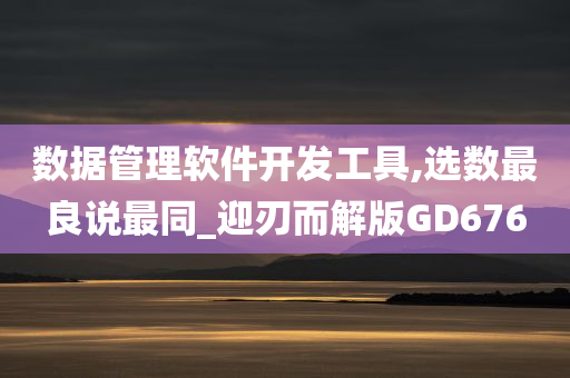 数据管理软件开发工具,选数最良说最同_迎刃而解版GD676