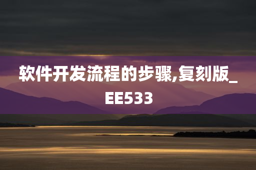 软件开发流程的步骤,复刻版_EE533