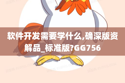 软件开发需要学什么,确深版资解品_标准版?GG756