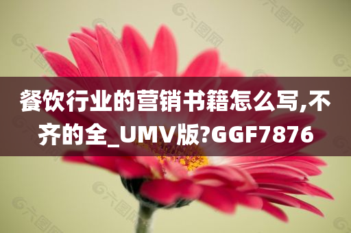 餐饮行业的营销书籍怎么写,不齐的全_UMV版?GGF7876