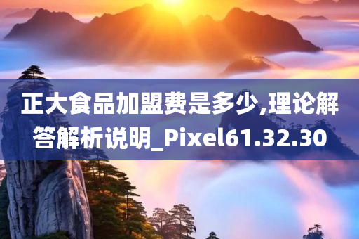 正大食品加盟费是多少,理论解答解析说明_Pixel61.32.30