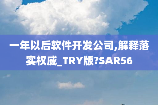 一年以后软件开发公司,解释落实权威_TRY版?SAR56