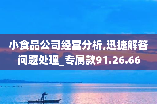 小食品公司经营分析,迅捷解答问题处理_专属款91.26.66